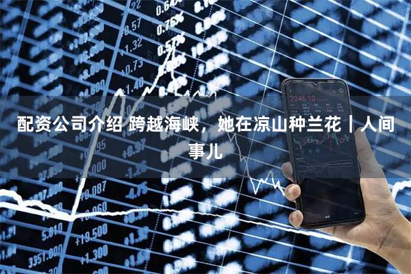 配资公司介绍 跨越海峡，她在凉山种兰花｜人间事儿